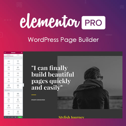 Elementor Pro plugin wordpress