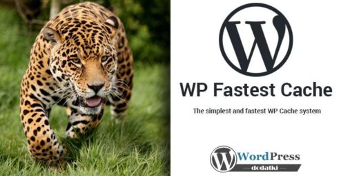 WP-Fastest-Cache